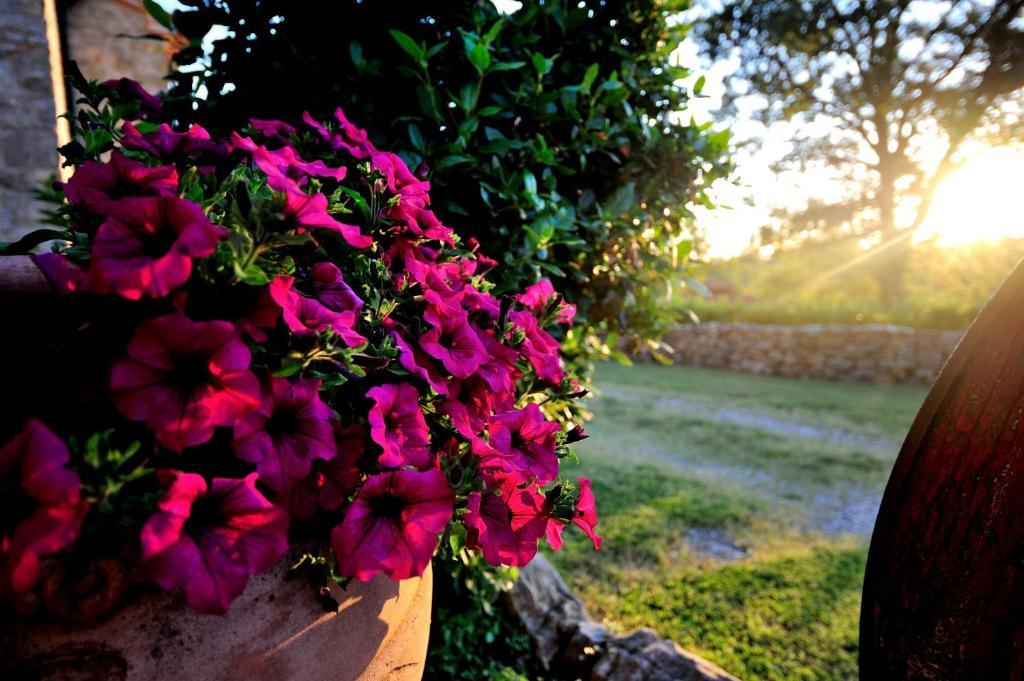 Agriturismo I Monti Semproniano Cameră foto